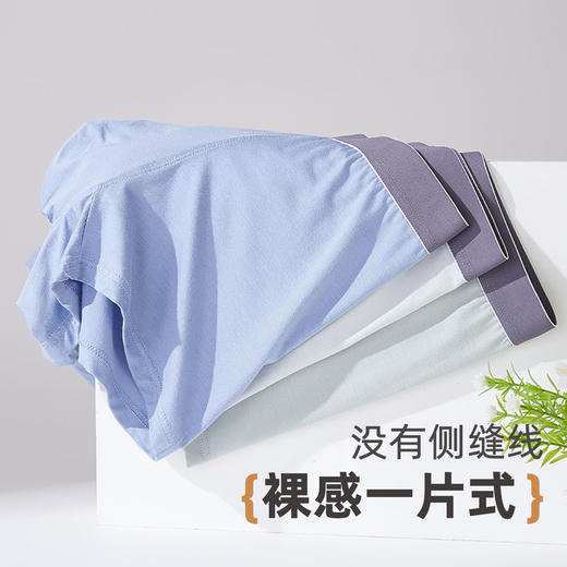 雅黛俪男士内裤无痕平角裤青年男生四角裤短裤薄款2025年夏季新款 商品图6