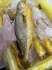 福建半野生大黄鱼35（1条约400-500g左右） 冰鲜，明天到 商品缩略图6
