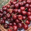 烟台美早大樱桃3J特大果/5J果王 商品缩略图6