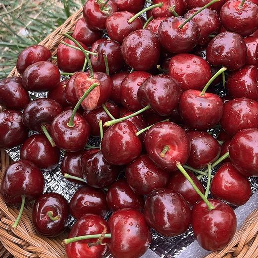 烟台美早大樱桃3J特大果/5J果王 商品图6