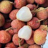 桂花香荔枝 商品缩略图2