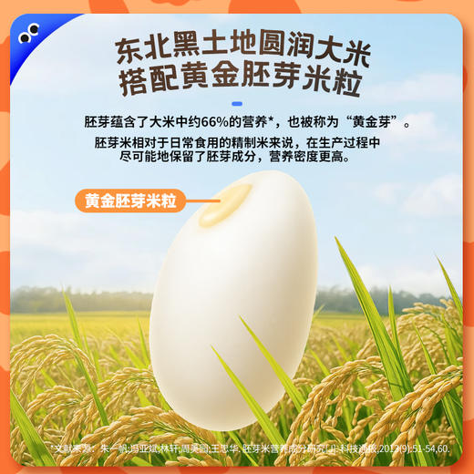 【双12】未零全家香酥海苔肉松胚芽米饼 饼干营养健康零食海绵宝宝 商品图2