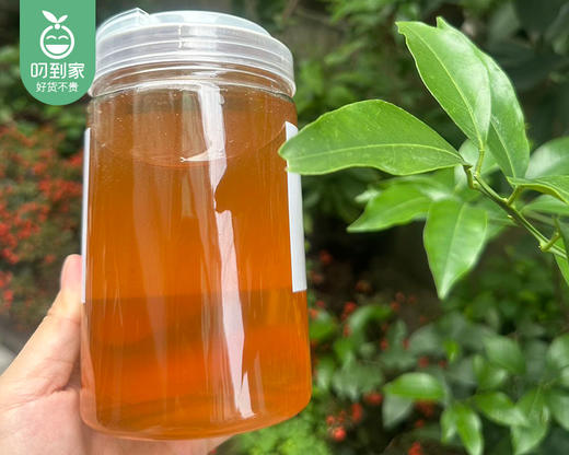 漳州原生态高山荔枝蜜/1罐（1kg） 商品图1