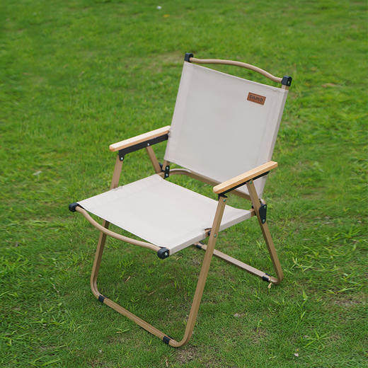大迈轻便折叠靠背椅DM-2005 露营靠背椅 商品图2