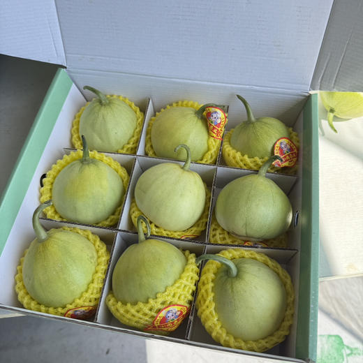 马连庄甜瓜 商品图5