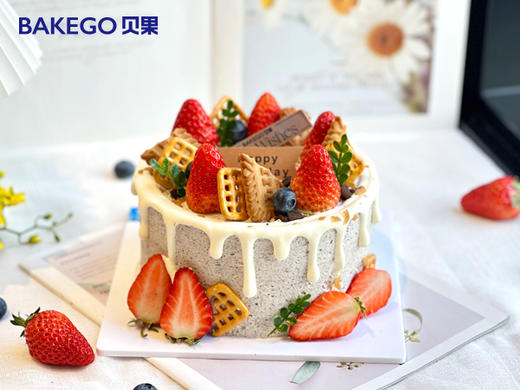 《浓情奥利奥》水果动物奶油蛋糕 商品图0