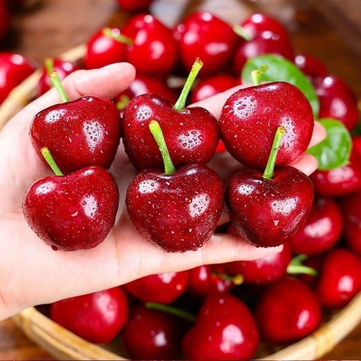 烟台美早大樱桃3J特大果/5J果王 商品图3