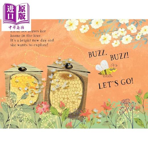 【中商原版】小蜜蜂的花朵书 Little Bees Book of Blooms 英文原版 儿童绘本图画书 花卉植物读物 精美插图 进口童书 纸板书 商品图1