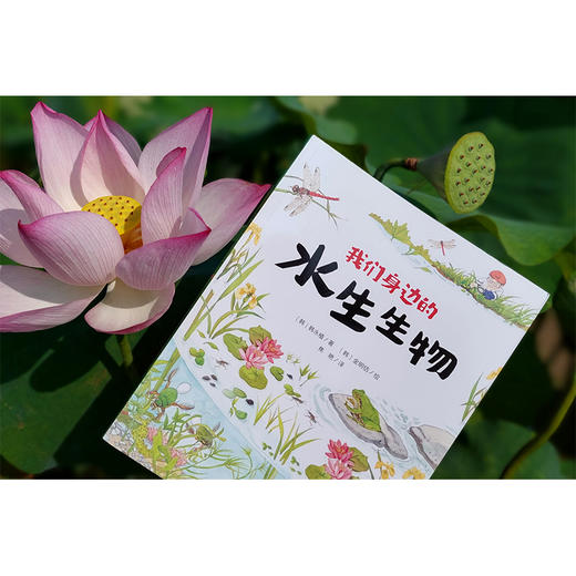 【独秀书香卡】魔法象·故事森林  我们身边的水生生物 7-12岁 儿童故事 儿童文学 商品图2