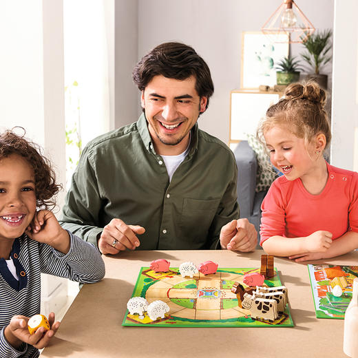 HABA 开心农场 十合一 桌游 适合3岁+ 多种玩法，锻炼各项能力 德国品牌-1004278001 商品图5