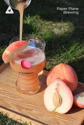 纸飞机 桃波 473ml