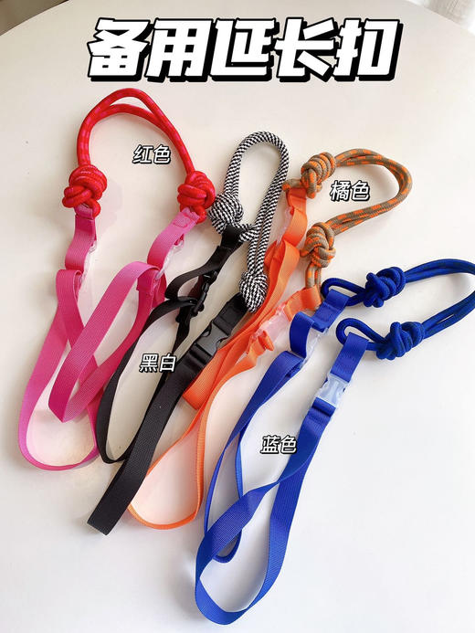 【高圆圆同款】刺绣帆布包（送肩带一根，颜色任选其一，不拍不发，多拍也不发） 商品图9