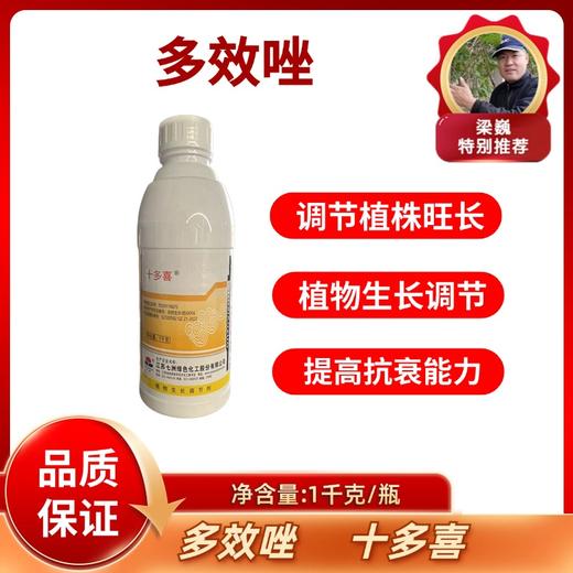 多效唑 商品图0