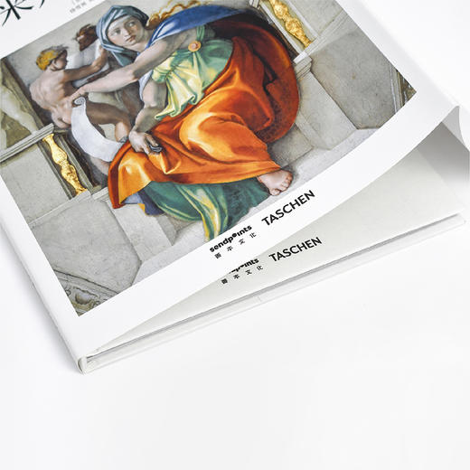 【SendPoints】【基础艺术2.0】米开朗基罗 原版简体中文艺术画册画集 商品图3