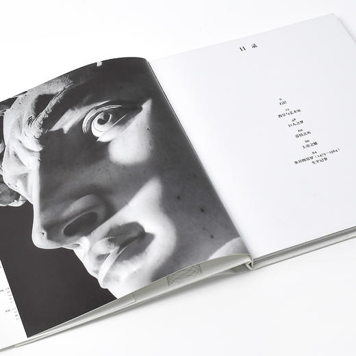 【SendPoints】【基础艺术2.0】米开朗基罗 原版简体中文艺术画册画集 商品图4