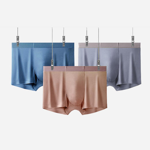 樱姿娜-9600男士无痕内裤三条装 商品图4