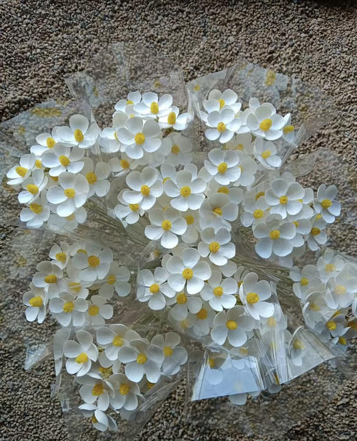 【永生花】网红干花紫罗兰  约10枝/扎 多色可选 商品图0