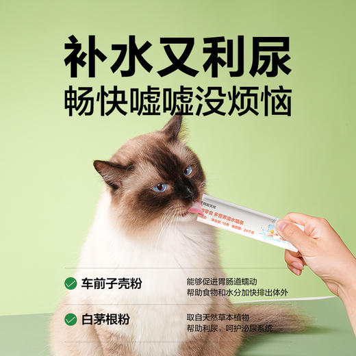 网易严选 溶水猫条 网易天成 猫零食10g*6条/袋 商品图2