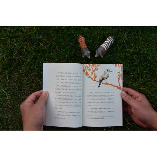 【独秀书香卡】魔法象·故事森林·法语大奖书屋（第一辑）外婆的百万秘密  6-12岁 儿童故事 图画故事 桥梁书 商品图6