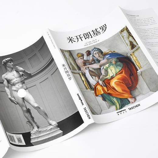【SendPoints】【基础艺术2.0】米开朗基罗 原版简体中文艺术画册画集 商品图2