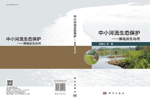 中小河流生态保护——滩地演化机理 商品图3