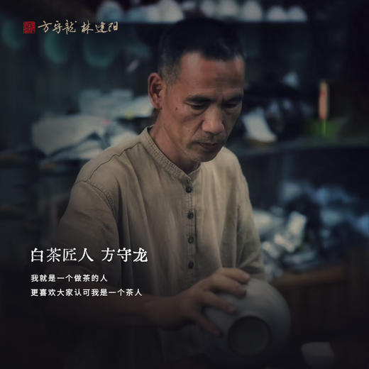 方守龙2024年乙巳灵蛇献瑞典藏礼盒福鼎白茶[官方旗舰店正品直供] 商品图2