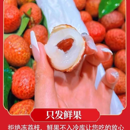 桂花香荔枝（约500G） /份 商品图1