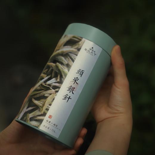 【2025头采银针】 商品图0