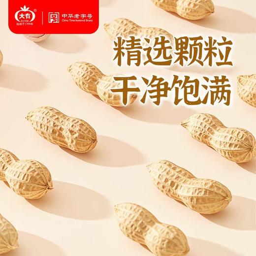 大有蒜香/咸干花生 200g*2 商品图5