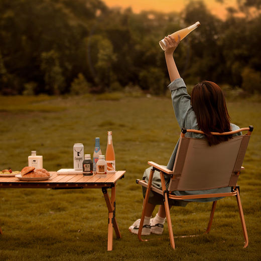 大迈轻便折叠靠背椅DM-2005 露营靠背椅 商品图9