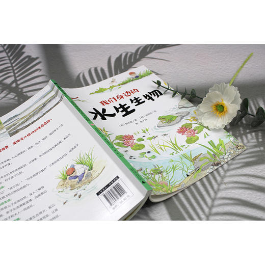 【独秀书香卡】魔法象·故事森林  我们身边的水生生物 7-12岁 儿童故事 儿童文学 商品图4