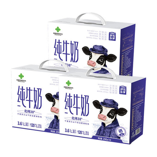 好礼乡伴纯牛奶 三箱M100-2505（仅限福建省内配送） 商品图0