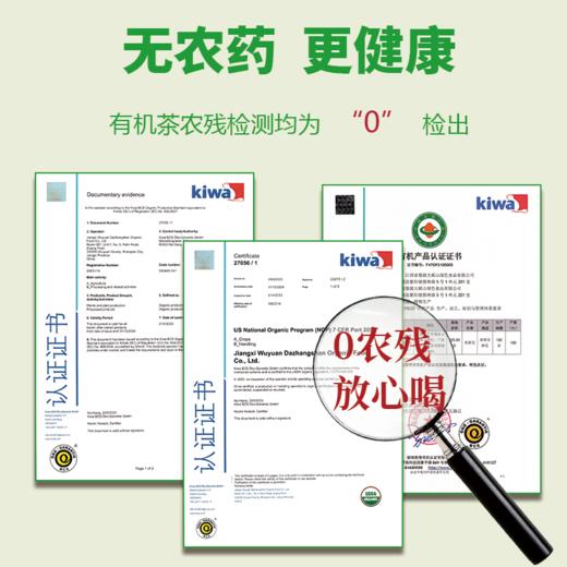 小从峰有机绿茶 250g 甘香馥郁 浓香醇正 商品图5