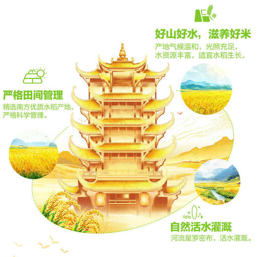 金龙鱼稻谷鲜生6步鲜鲜牙香丝苗米/5kg 商品图3