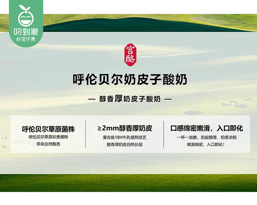 【到手2杯】伊利宫酪呼伦贝尔奶皮子风味酸奶/1份（138g*2杯） 商品图2