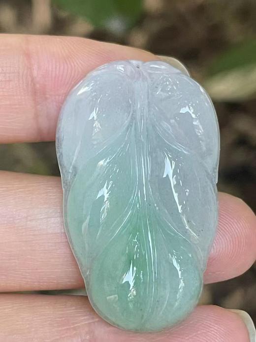 【冰绿翡翠】编号：1319 冰绿翡翠叶子 金枝玉叶 天然翡翠 附证书 商品图2