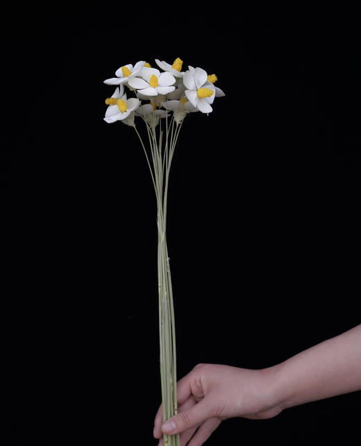 【永生花】网红干花紫罗兰  约10枝/扎 多色可选 商品图2