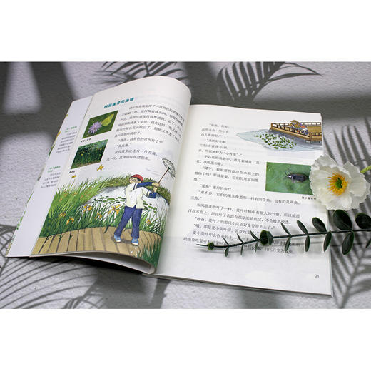 【独秀书香卡】魔法象·故事森林  我们身边的水生生物 7-12岁 儿童故事 儿童文学 商品图6