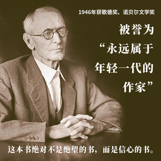 黑塞经典：荒原狼 | 写给与这个世界格格不入的你 商品图1