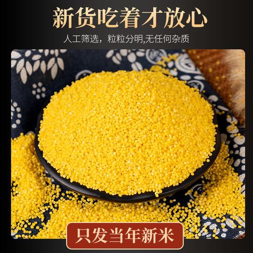 顺风谷禾黄金小米2.5kg 商品图2