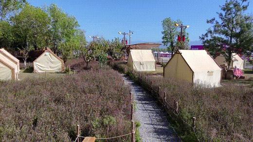 【休闲营地】西安新晋户外营地！约36000㎡，100+种玩乐设施，林下休闲，儿童友好！ 商品图0