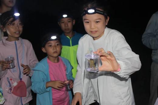 寻找奥森暗夜小精灵 商品图1