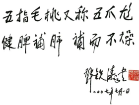 点一盘艾香！驱蚊防虫，安宁心神，除湿气！ 