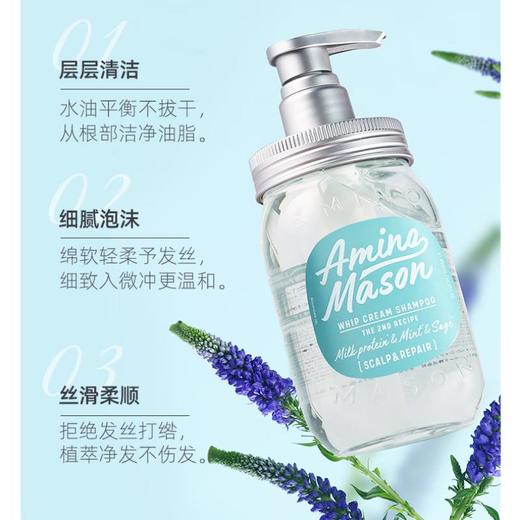 阿蜜浓梅森  氨基酸洁净控油平衡洗发水450ml 商品图2