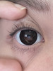toffee日抛美瞳 天然呆 14.5mm 商品缩略图0