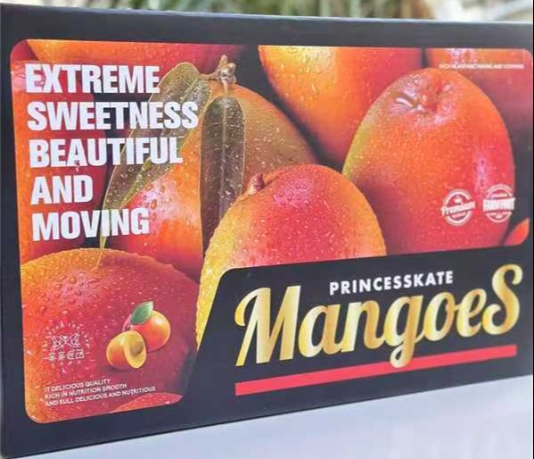 吃海芒芒 海南三亚   树上熟 贵妃芒