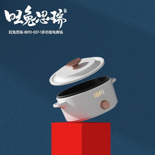 IBF艾博菲艾博菲（IBF）旺途思瑞·多功能锅【K】 商品图2