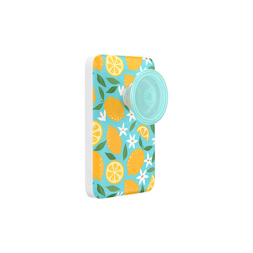 【磁吸充电宝】茉莉柠茶·MagSafe充电宝 OTHER配件 Power充电宝系列 水果野餐 撞色 食物 水果 商品图0