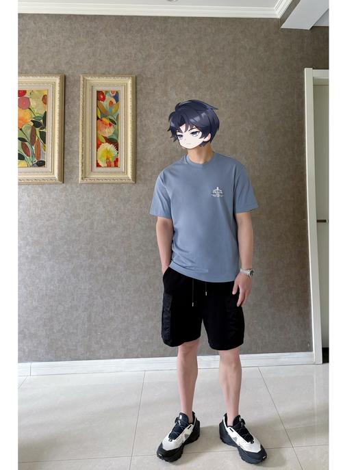 PLD新款徽章印花圆领短袖T 复古做旧印花标识 商品图12