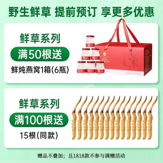 国坤堂 西藏那曲鲜虫草 商品图3